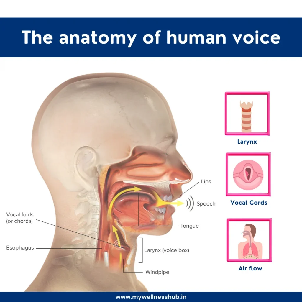 natural remedies for vocal throat